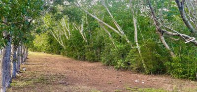 Mount Pleasant Land GR1637 Image 4