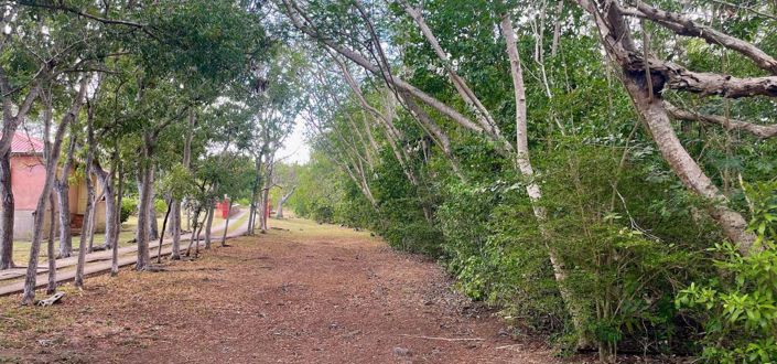 Image No.5-Propriété à vendre à Bequia