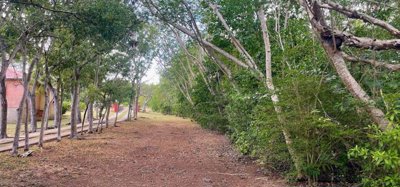 Mount Pleasant Land GR1637 Image 5