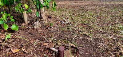 Mount Pleasant Land GR1637 Image 9