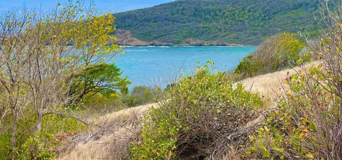 Image No.10-Property for sale