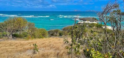 Crown Point Lot 3 Image 4