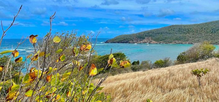 Image No.7-Property for sale