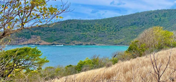 Image No.8-Property for sale