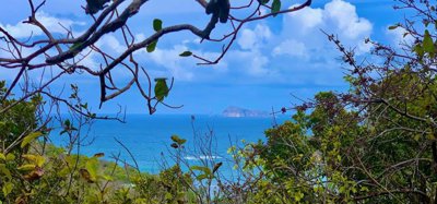 Spring Estate Lot 45 Image 2