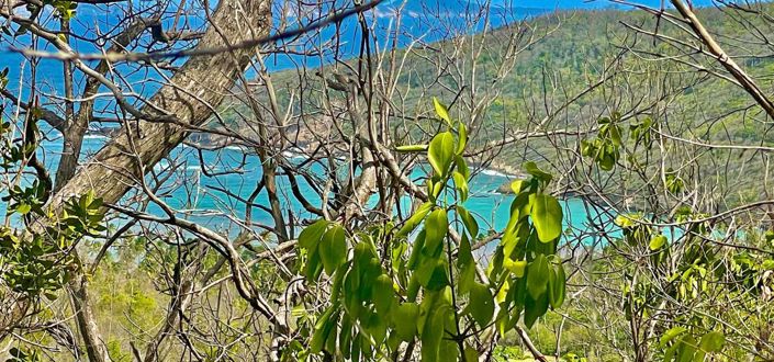 Image No.4-Property for sale