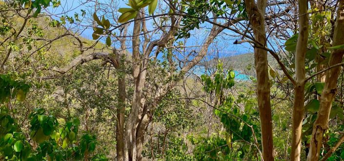 Image No.5-Property for sale