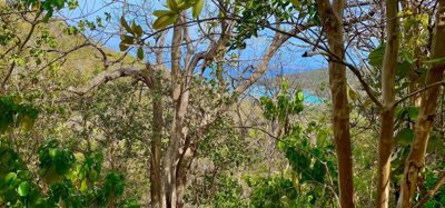 Spring Estate Lot 45 Image 5