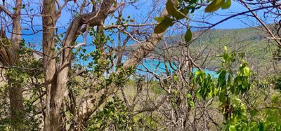 Spring Estate Lot 45 Image 6