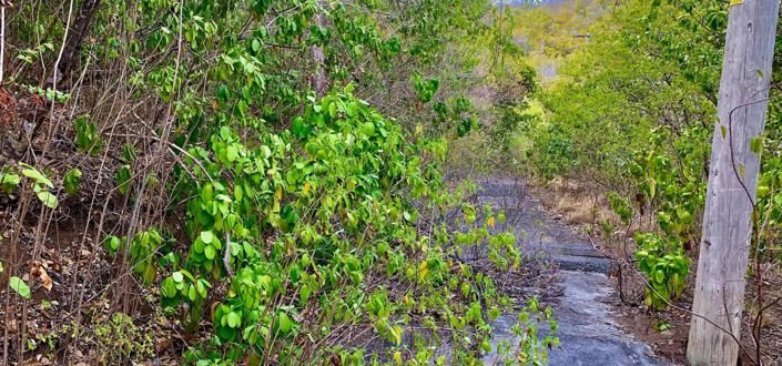 Image No.7-Property for sale