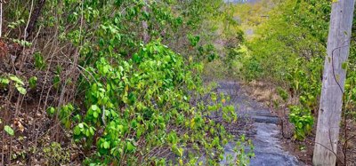 Spring Estate Lot 45 Image 7