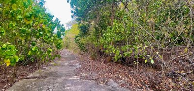 Spring Estate Lot 45 Image 8