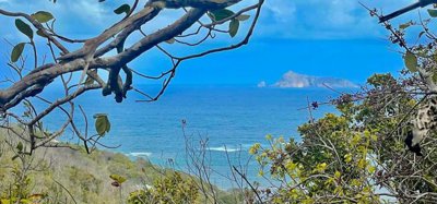 Spring Estate Lot 45 Image 9