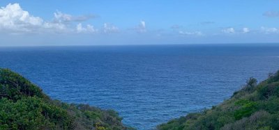 Mount Pleasant Land 7 Acres GR 508 Image 10