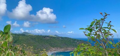 Mount Pleasant Land 7 Acres GR 508 Image 2