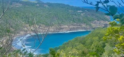 Mount Pleasant Land 7 Acres GR 508 Image 3