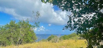 Mount Pleasant Land 7 Acres GR 508 Image 5