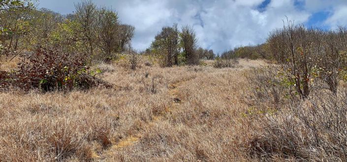 Image No.7-Property for sale