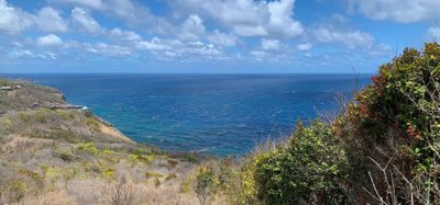 Mount Pleasant Land 7 Acres GR 508 Image 9