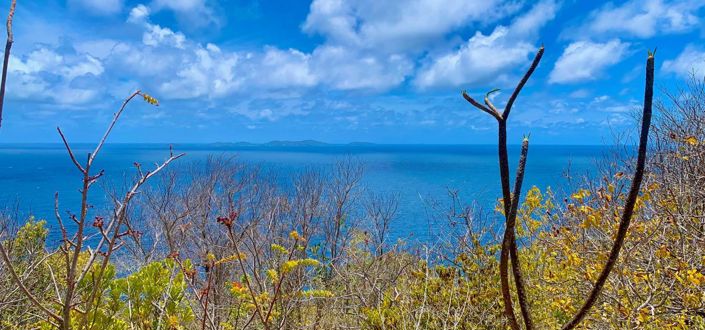 Image No.4-Property for sale