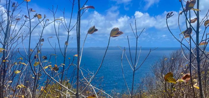 Image No.5-Property for sale