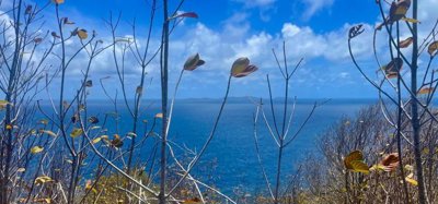 Mount Pleasant Land Plot 1 on GR1634 Image 5