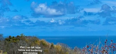 Mount Pleasant Land Plot 1 on GR1634 Image 6