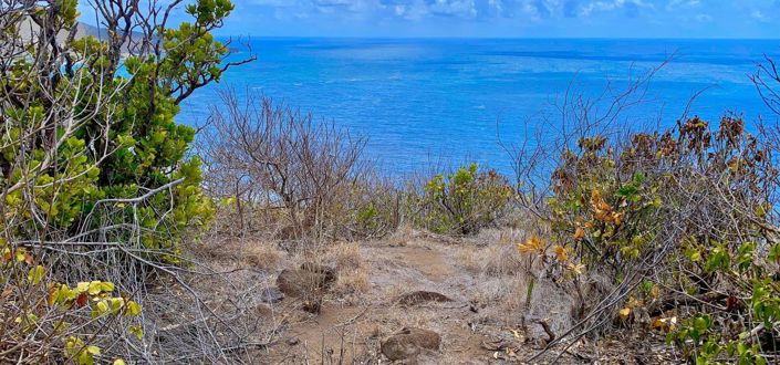Image No.5-Propriété à vendre à Bequia