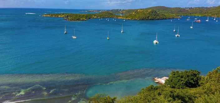 Image No.2-Propriété à vendre à Saint-Vincent et les Grenadines