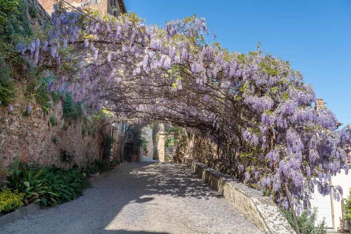 Image No.3-Appartement de 3 chambres à vendre à Castiglion Fiorentino