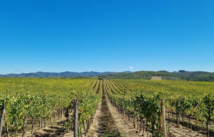 Image No.30-1 Bed Apartment for sale