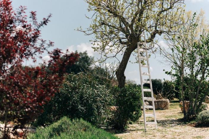 Image No.21-Trullo de 3 chambres à vendre à Ostuni