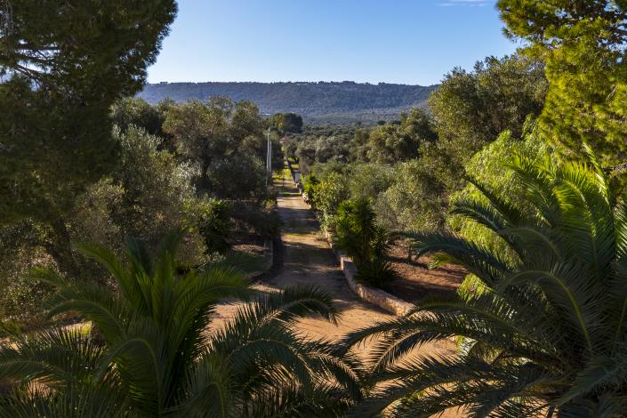 Image No.5-9 Bed Farmhouse for sale