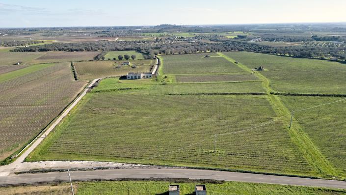 Image No.5-5 Bed Masseria for sale