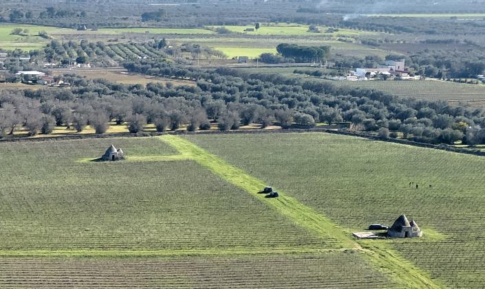 Image No.6-5 Bed Masseria for sale