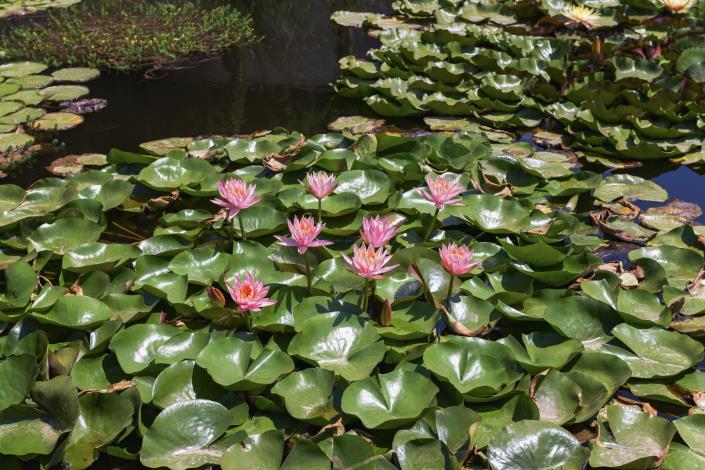 Image No.13-15 Bed Country Property for sale