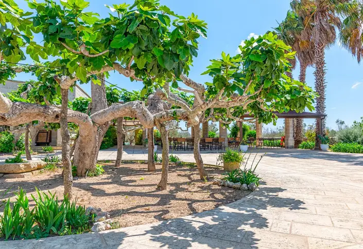 Image No.11-20 Bed Country House for sale