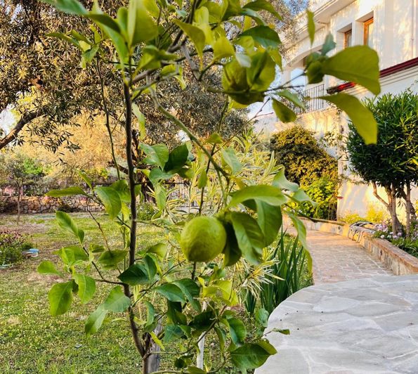 Image No.18-4 Bed Villa for sale