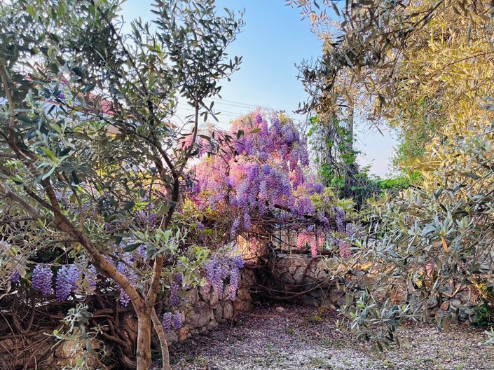 Image No.19-4 Bed Villa for sale