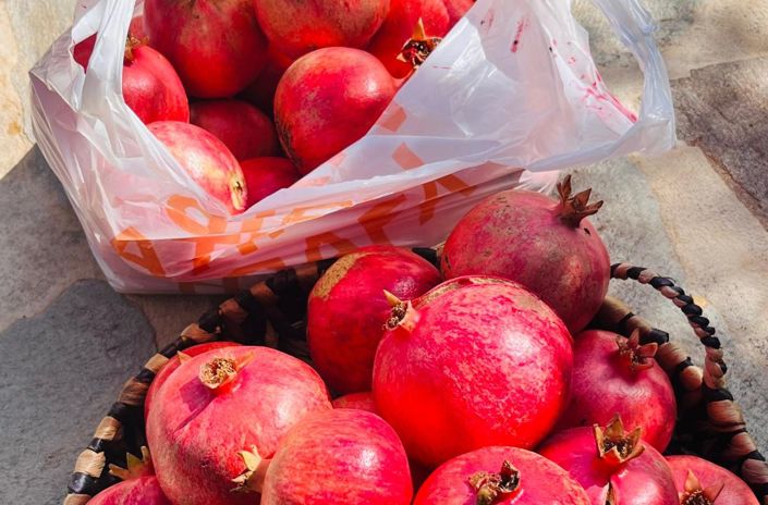 Image No.20-4 Bed Villa for sale