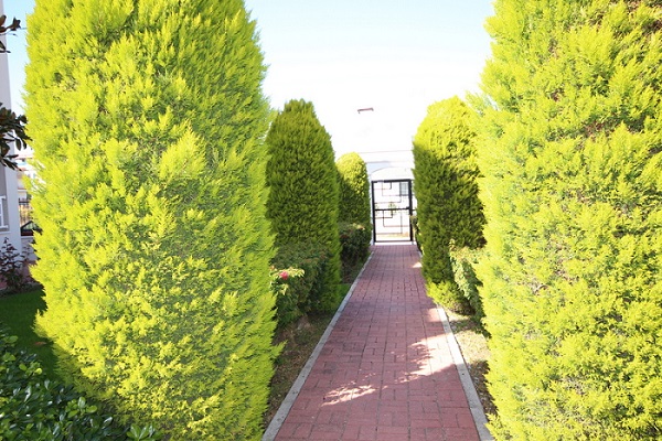 Image No.5-2 Bed Apartment for sale