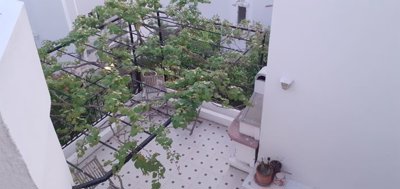 Traditional Bodrum Villa For Sale – Grape vines over the terrace