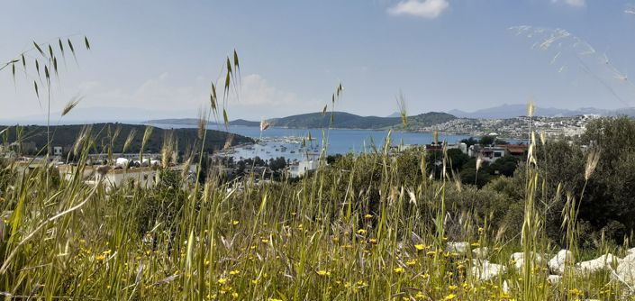 Image No.21-4 Bed Villa for sale