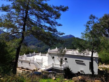 Majestic Villa & Estate For Sale Near Dalyan - Hillside property and natural plot