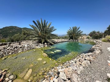 Majestic Villa & Estate For Sale Near Dalyan - Natural pool