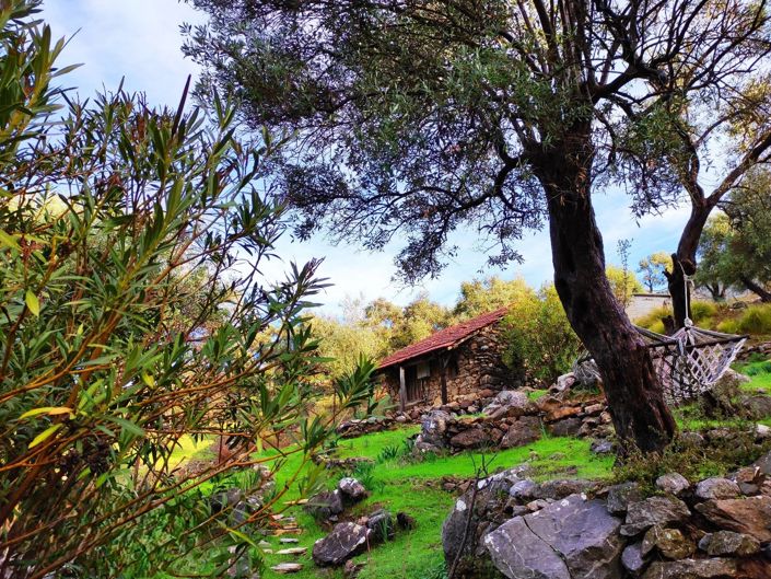 Image No.6-7 Bed Villa for sale