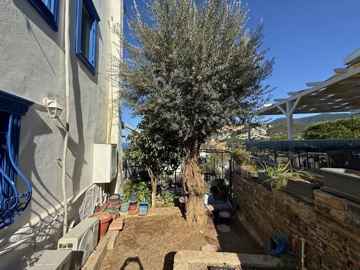 Image No.23-Villa de 3 chambres à vendre à Torba