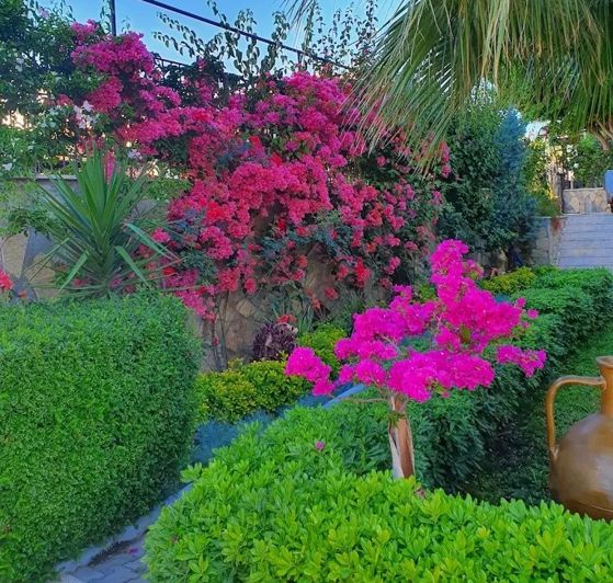 Image No.21-2 Bed Apartment for sale