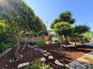 Outstanding Bodrum Villa For Sale - Mature citrus trees