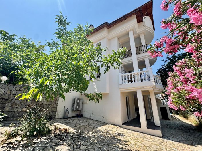 Image No.3-7 Bed Villa for sale